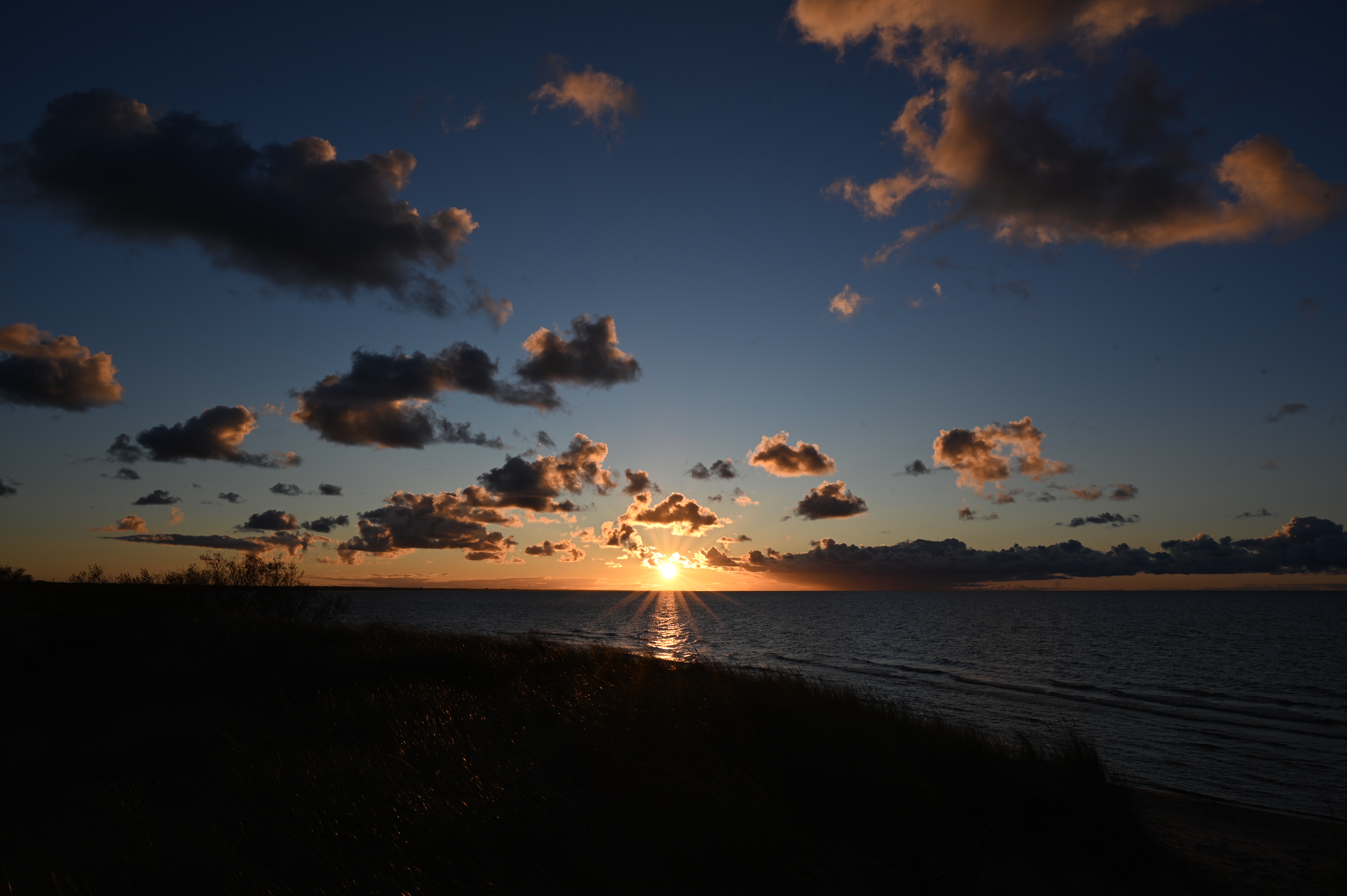 2025/10/18 - walk/DSC_0399.JPG